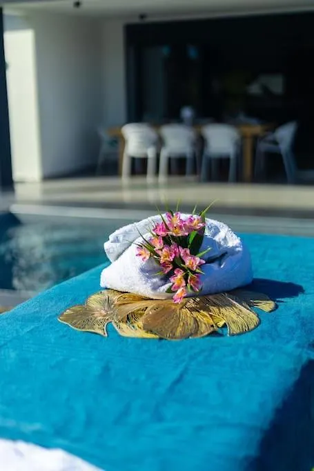 Villa Canelle Fwi 4 Etoiles Piscine Jacuzzi Beach Surf Le Moule